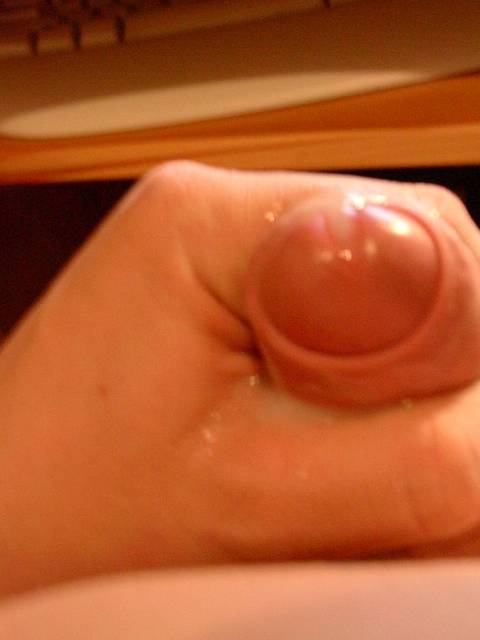 przyjaciel - pies na baby