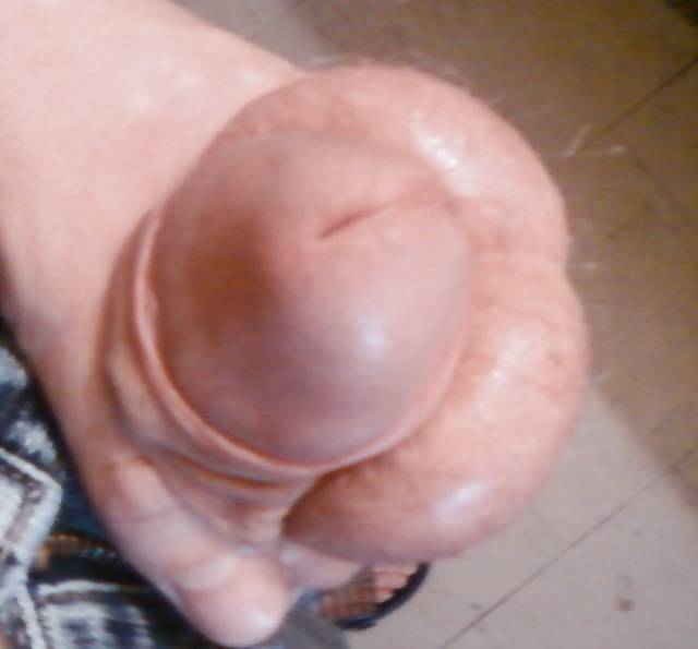 SP_A0205.jpg - lukas_1