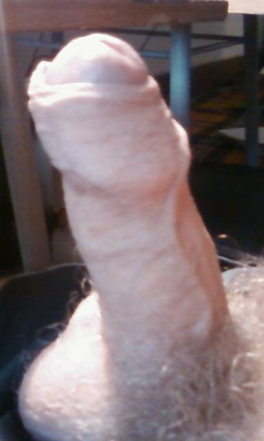 SP_A0224.jpg - lukas_1