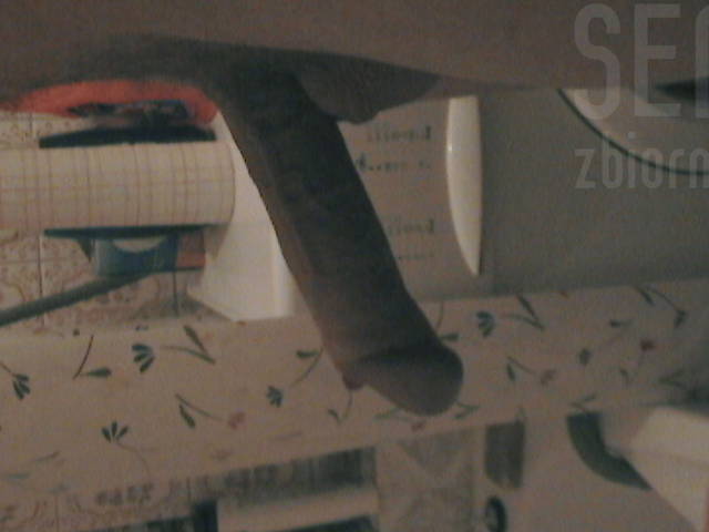 DCAM0001.JPG - senior01