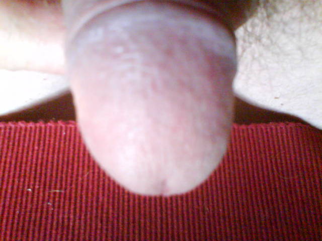 mein Schwanz 10 - elt51