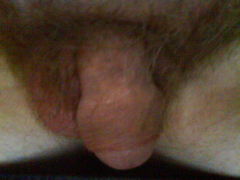 mein Schwanz 12