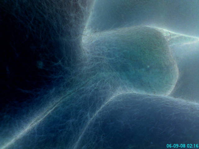 DSC00546.JPG - xxlupaxx