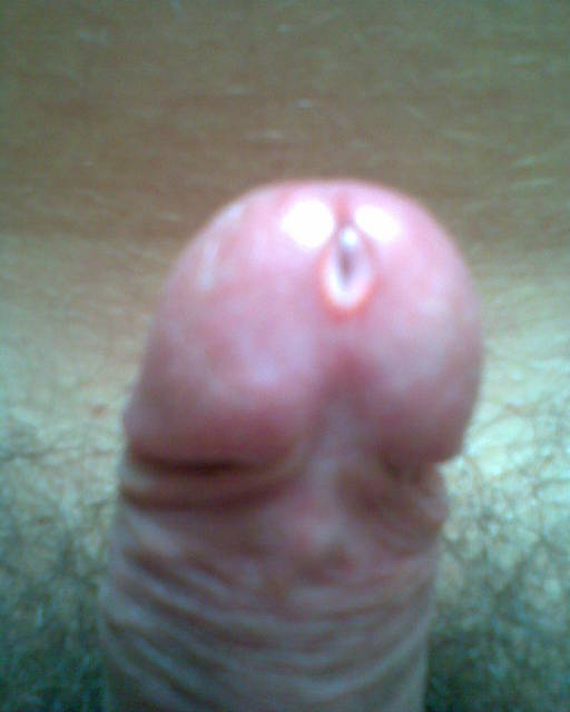 Zdjęcie008.jpg - taadeo