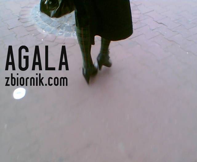 zielona kratka - AGALA
