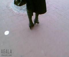 zielona kratka