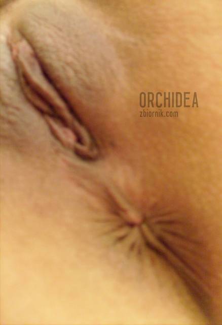 zerżnij mnie w obie dziurki:)) - orchidea