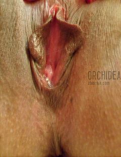 KTÓRA Z DZIEWCZYN MA OCHOTĘ POPIEŚCIĆ MNIE??