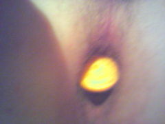 52004_201.jpg