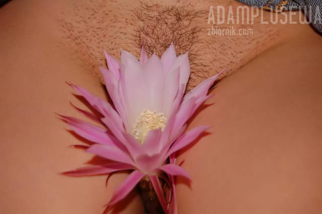 Ewa w raju9 - adamplusewa