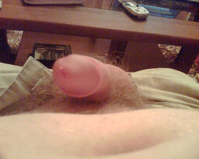 muj sprzent - swintuszek1990