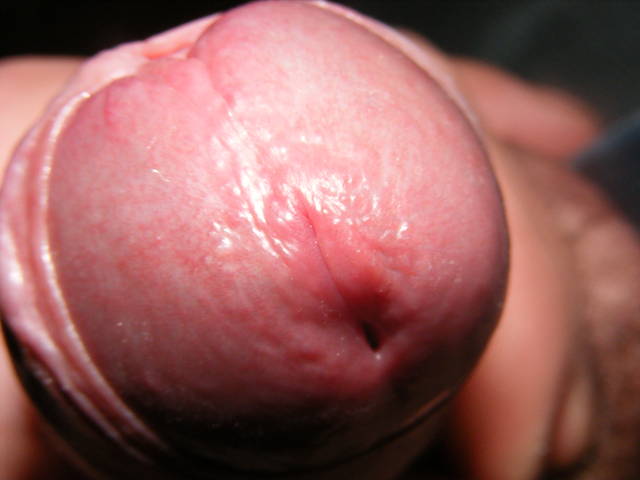 Obraz 001.jpg - EBO13