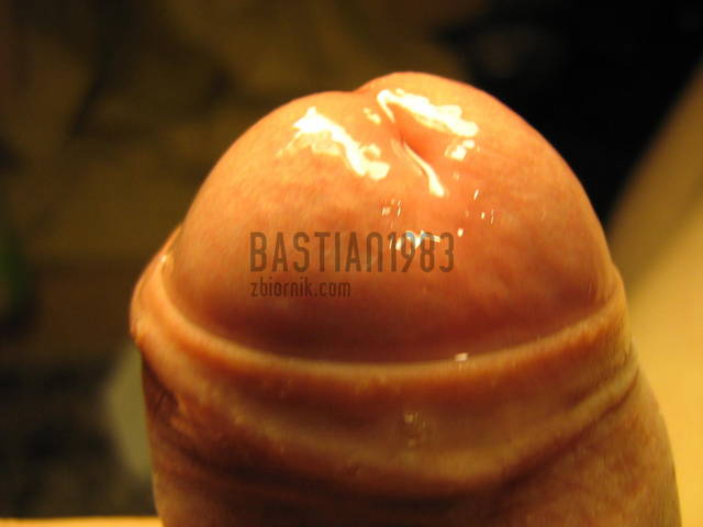 935384344.jpg - Bastian1983