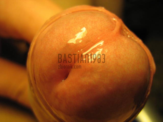 1212525217.jpg - Bastian1983