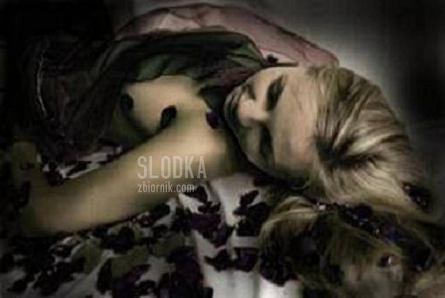 5793890.jpg - Slodka