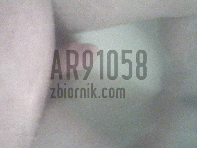 DSC00006.JPG - ar91058