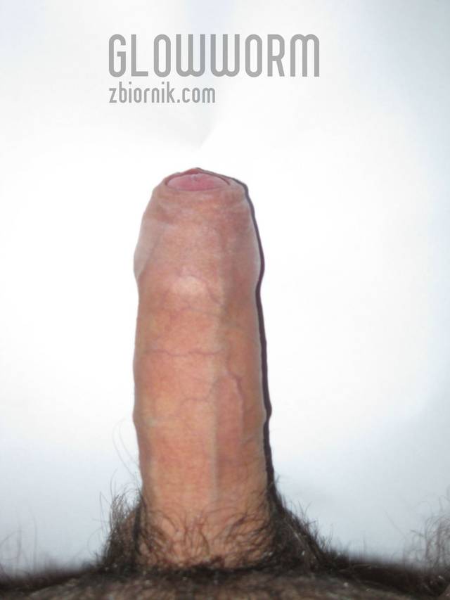 glowworm