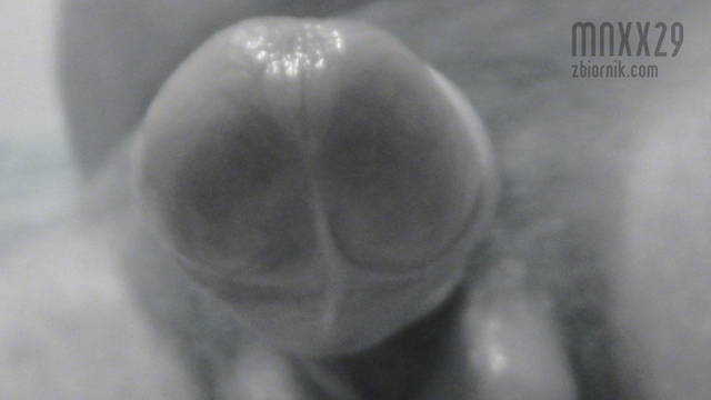 mnxx29 20_01_2009 - mnxx29