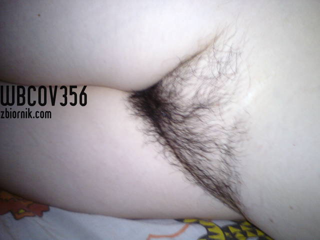 moja kicia - WBCOV356