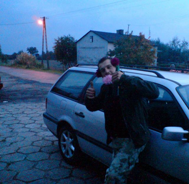 zibiteam