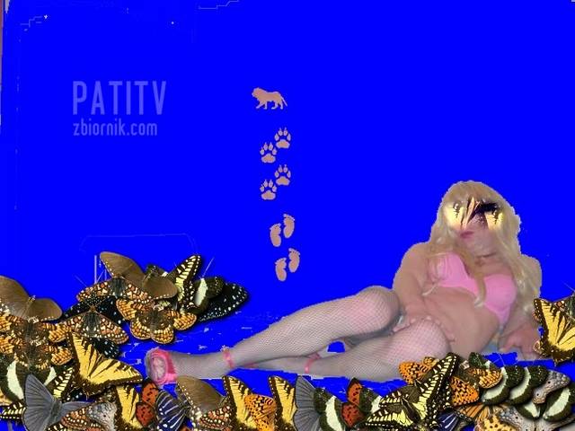 SDC10729.JPG - patitv