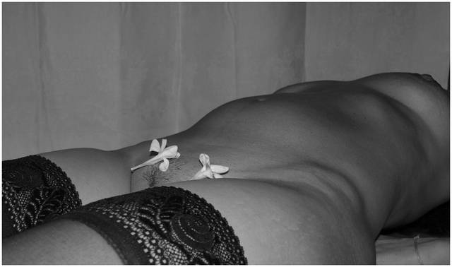 S3221644a.jpg - haubi