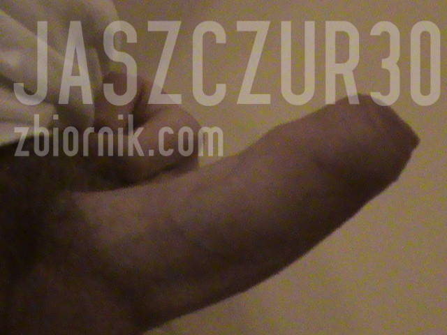 lekki wzód - jaszczur30