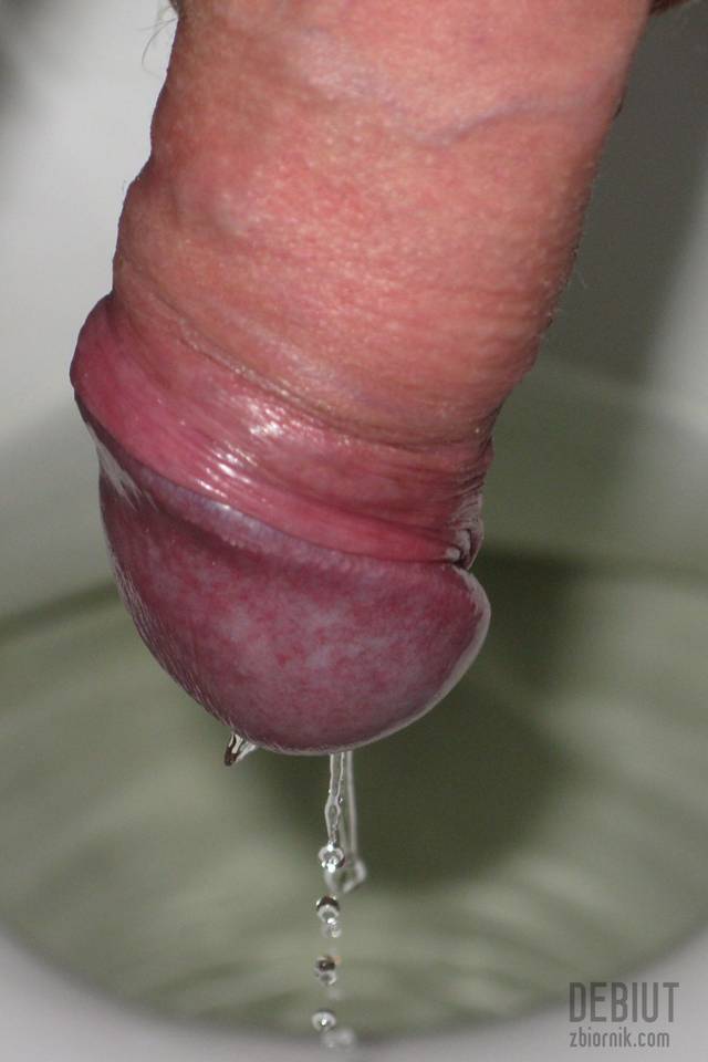 debiut