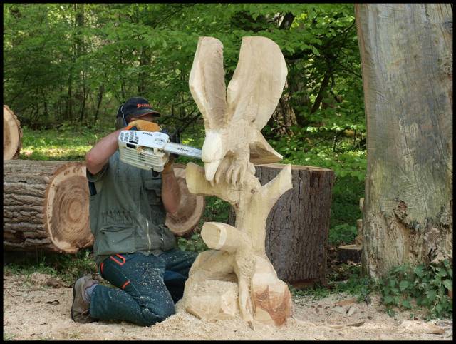 jak powstaja zaklete ptaki - haubi