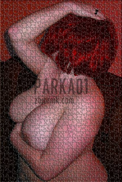 Obraz 3311.jpg - parka01