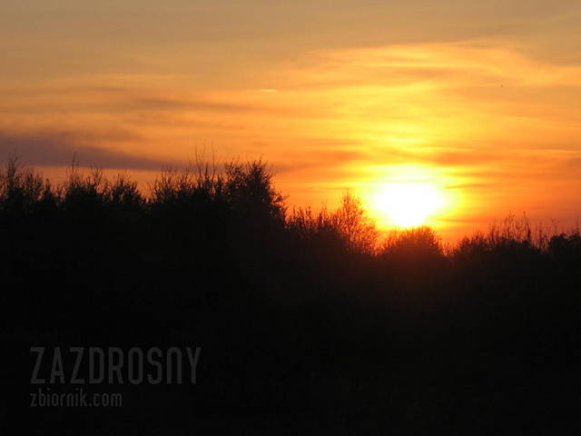 na końcu świata .... - zazdrosny