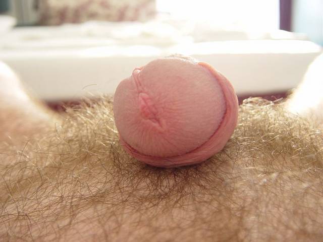 DSC07043.JPG - bi32slupsk