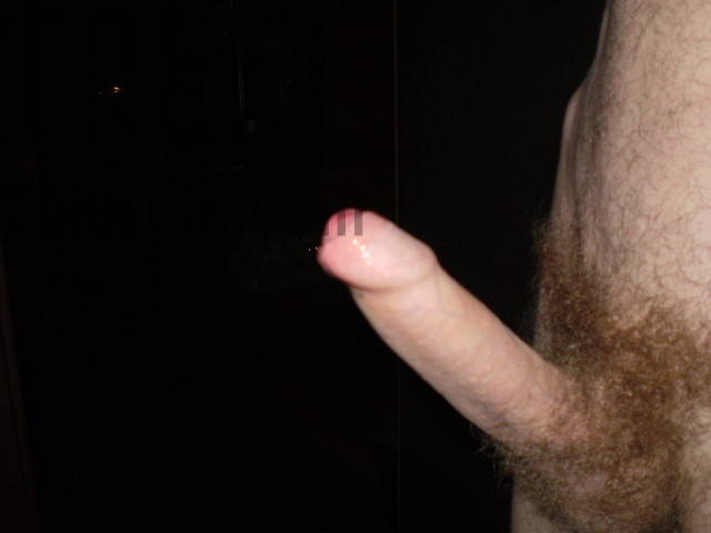 P2211198.JPG - trefl