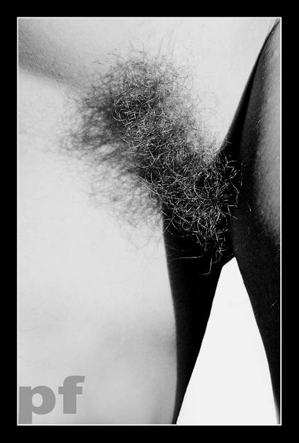 LINIE I CIENIE - panfoto