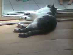 męcząca ta wiosna...