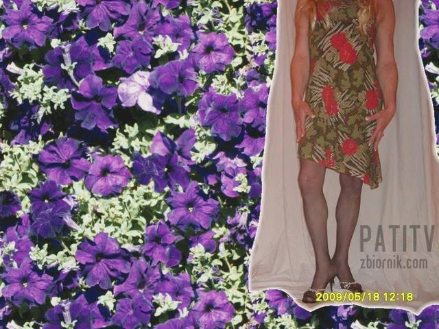 SDC11148.JPG - patitv