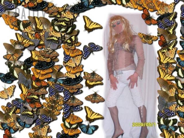 SDC11184.JPG - patitv