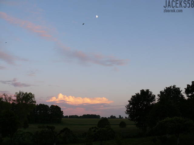 P1020875.JPG - jaceks58