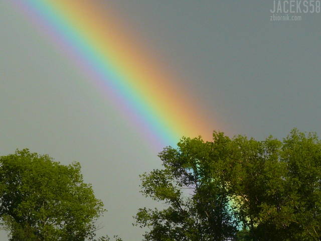 P1020835.JPG - jaceks58