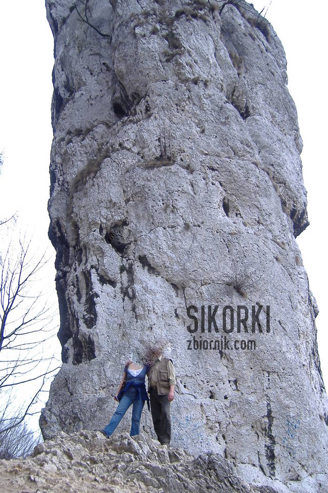 sikorki
