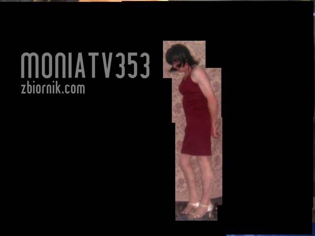 HPIM1020.JPG - Moniatv353