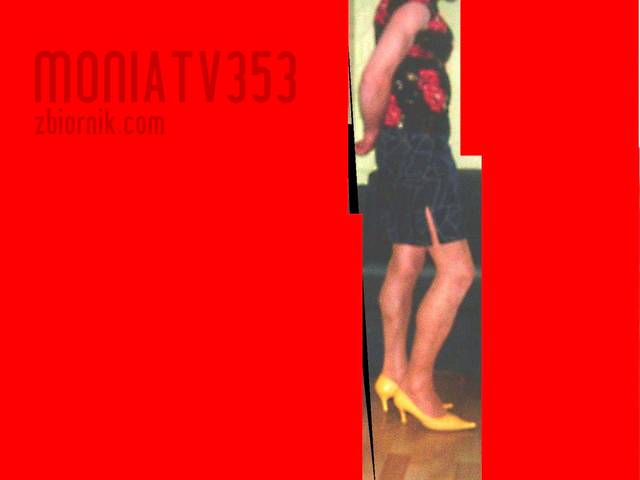 HPIM0855.JPG - Moniatv353