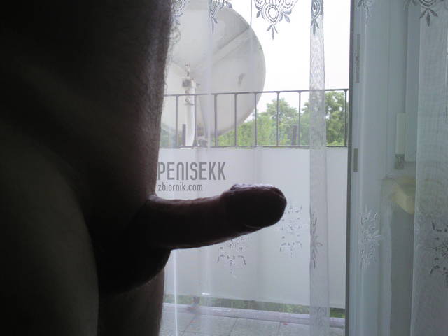 penisekk