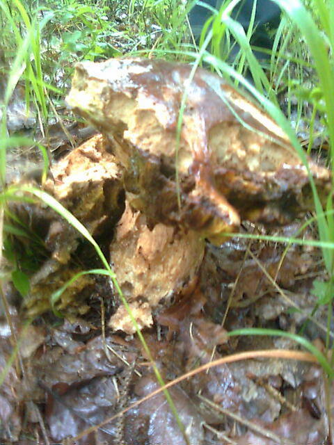 posunięty... - madzia90