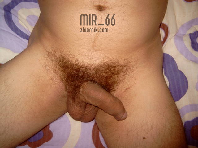 mir_66