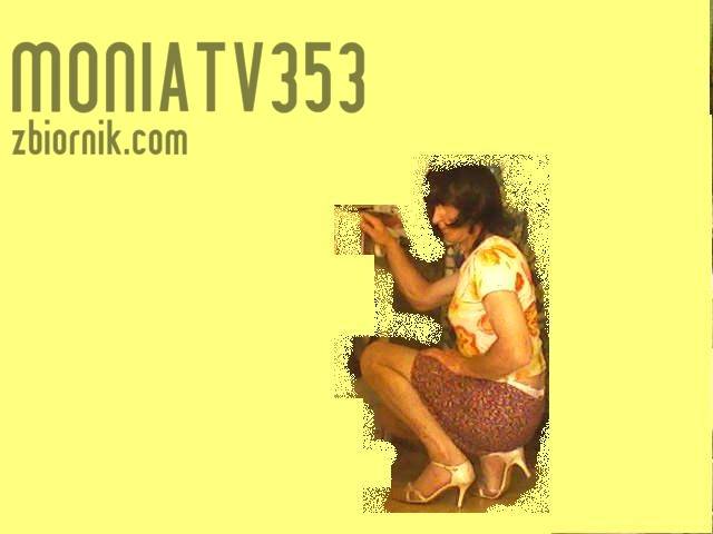 Foto-0029.jpg - Moniatv353