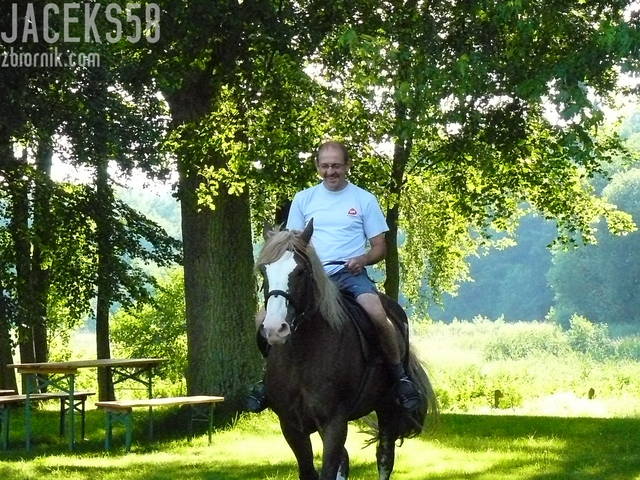 Ujeżdżanie - jaceks58