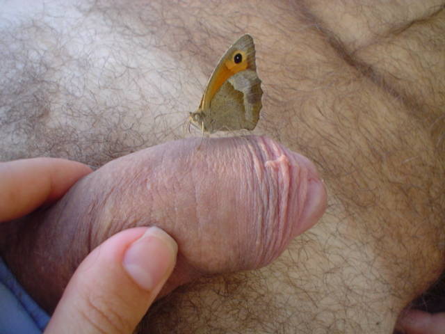 moze to pani motylek - parkaparka