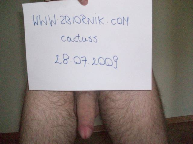 WERYFIKACJA - cactuss
