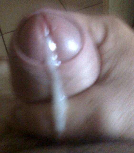 03-04-10_0952.jpg - puszcza